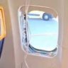 Plane Incident : मृत्यू दारात उभा होता, पत्नीने पाय पकडले अन्... जर्मनी विमानातील थरारक घटना