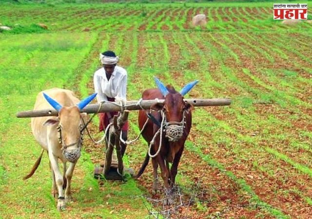 Farmers Loan : शेतकरी कर्जमाफीसाठी ७ हजार कोटींचा निधी वितरित