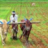 Farmers Loan : शेतकरी कर्जमाफीसाठी ७ हजार कोटींचा निधी वितरित