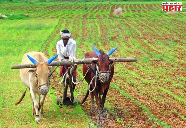 Farmers Loan : शेतकरी कर्जमाफीसाठी ७ हजार कोटींचा निधी वितरित