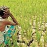 माफीचा डबल डोस