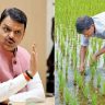 Devendra Fadnavis : शेतकऱ्यांचे ४८ हजार कोटींचे थकीत वीजबिल माफ
