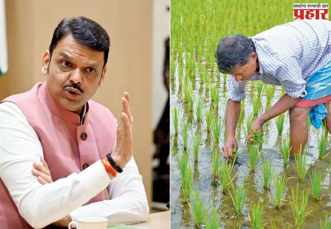 Devendra Fadnavis : शेतकऱ्यांचे ४८ हजार कोटींचे थकीत वीजबिल माफ