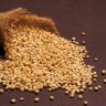 Agriculture News : ज्वारी खरेदीस ३१ ऑगस्टपर्यंत मुदतवाढ; शेतकऱ्यांना मोठा दिलासा