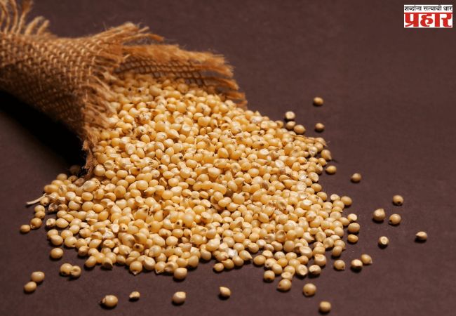 Agriculture News : ज्वारी खरेदीस ३१ ऑगस्टपर्यंत मुदतवाढ; शेतकऱ्यांना मोठा दिलासा