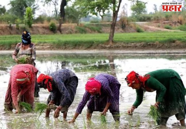 महिला शेतकऱ्यांच्या श्रमाला कायद्याचे कवच