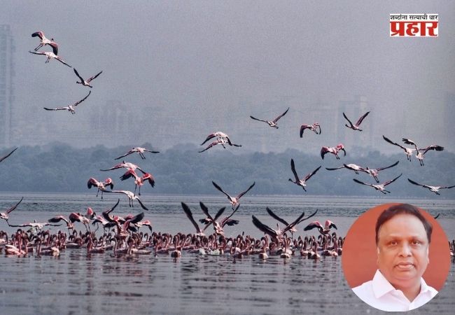 Ashish Shelar : भांडूप पक्षी उद्यानासाठी ‘डीपीडिसी’मधून ४५ कोटी