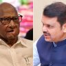 Devendra Fadnavis : शरद पवारांचा पक्ष 'एनडीए'सोबत येणार ही पेरलेली बातमी
