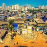 Dharavi Development Project : धारावी विकास प्रकल्पांत तब्बल ८ हजार झाडे होणार बाधित