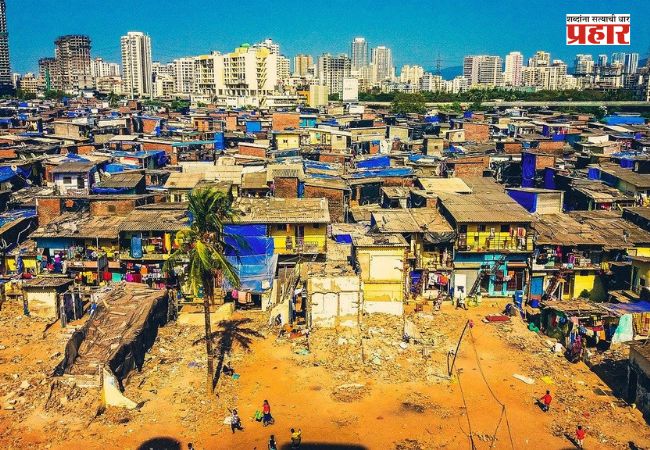 Dharavi Development Project : धारावी विकास प्रकल्पांत तब्बल ८ हजार झाडे होणार बाधित