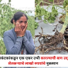 Nashik : संतापजनक ! समाजकंटकांकडून एक एकर उभी कारल्याची बाग उद्ध्वस्त ! शेतकऱ्याचे लाखो रुपयांचे नुकसान