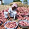 Onion Farmers : केंद्र सरकारकडून कांदा उत्पादकांना दिलासा
