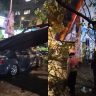 Dadar Tree Collapse : दादरमध्ये भलंमोठं झाड कोसळलं! प्लाझाजवळ पार्क केलेल्या कारचा चक्काचूर; अग्निशमन दलाकडून मदतकार्य सुरू