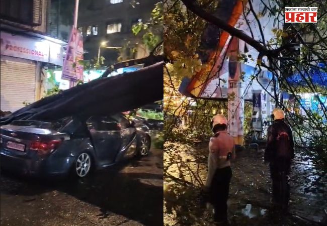 Dadar Tree Collapse : दादरमध्ये भलंमोठं झाड कोसळलं! प्लाझाजवळ पार्क केलेल्या कारचा चक्काचूर; अग्निशमन दलाकडून मदतकार्य सुरू