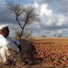 Maharashtra Weather : जुलै संपत आला तरी महाराष्ट्रातील आठ जिल्हे पावसाच्या प्रतीक्षेत