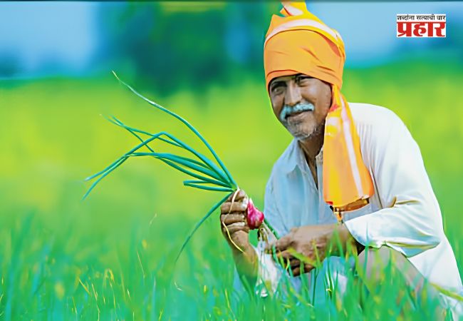 Karjmafi Yojana : शेतकरी कर्जमाफीच्या प्रत्यक्ष लाभ वितरणास सुरुवात