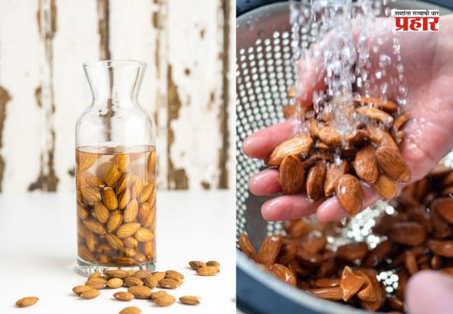 Soak Almonds : दिवसाची सुरुवात भिजवलेल्या बदामाने का करावी? जाणून घ्या आरोग्यासाठीचे ७ जबरदस्त फायदे