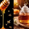 Honey Benefits : रोज मध खाल्ल्याने शरीराला मिळतात 'हे' जबरदस्त फायदे; जाणून घ्या तज्ज्ञ काय सांगतात