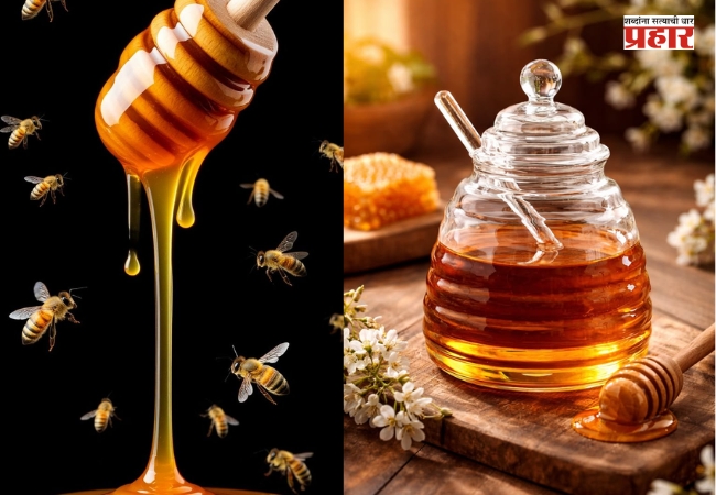 Honey Benefits : रोज मध खाल्ल्याने शरीराला मिळतात ‘हे’ जबरदस्त फायदे; जाणून घ्या तज्ज्ञ काय सांगतात
