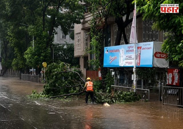 Tree Collapsed In Mumbai : मुंबईत सोसाट्याच्या वाऱ्याचा तडाखा! १४२ झाड/फांदी पडण्याच्या घटना; २ दुर्दैवी मृत्यू