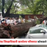 Nashik News : जिल्हाधिकारी कार्यालय परिसरात कोसळले झाड , ८ ते १० वाहनांचे नुकसान