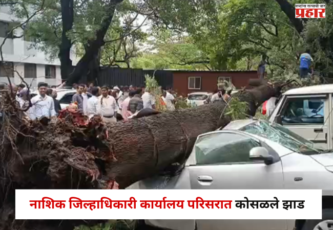 Nashik News : जिल्हाधिकारी कार्यालय परिसरात कोसळले झाड , ८ ते १० वाहनांचे नुकसान