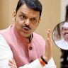 Annasaheb Patil Mahamandal : अण्णासाहेब पाटील महामंडळाच्या व्यवस्थापकीय संचालकांची तडकाफडकी बदली