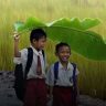 Friendship Day : मैत्री दिनानिमित्त विशेष; ५ सोपे प्रश्न सांगतील तुमच्या 'खऱ्या' मित्राची ओळख!