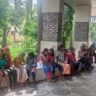 Snakebite In Gadchiroli : गडचिरोलीत सर्पदंशामुळे ३ मुलींचा मृत्यू, ३ मुलींना एअरसिफ्ट करून रुग्णालयात केले दाखल