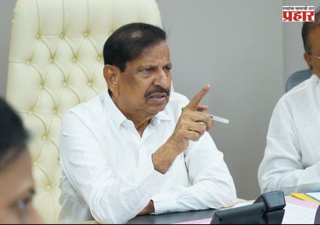 Ganesh Naik : हत्तीसह वन्य प्राण्यांमुळे होणाऱ्या नुकसानची भरपाई वाढविण्याचा विचार करा