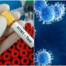 H1N1 Virus : H1N1 च्या रुग्णांमध्ये वाढ; तापासाठी पॅरासिटामॉल पुरेसे की अँटीव्हायरलची गरज? जाणून घ्या उपचार आणि धोक्याची लक्षणे