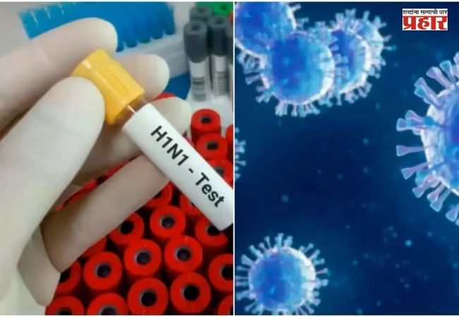 H1N1 Virus : H1N1 च्या रुग्णांमध्ये वाढ; तापासाठी पॅरासिटामॉल पुरेसे की अँटीव्हायरलची गरज? जाणून घ्या उपचार आणि धोक्याची लक्षणे