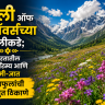 व्हॅली ऑफ फ्लॉवर्सच्या पलीकडे; भारतातील निसर्गरम्य आणि कमी-ज्ञात रानफुलांची अद्भुत ठिकाणे