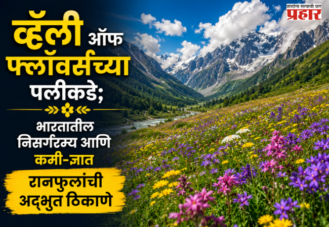 व्हॅली ऑफ फ्लॉवर्सच्या पलीकडे; भारतातील निसर्गरम्य आणि कमी-ज्ञात रानफुलांची अद्भुत ठिकाणे