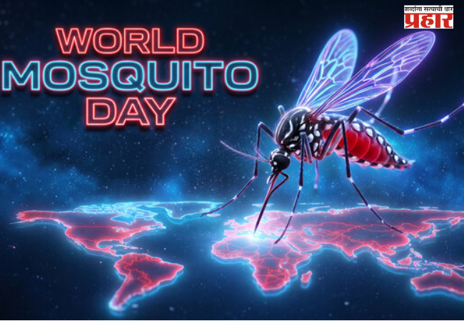 World Mosquito Day 2026