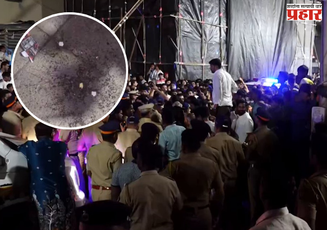 Arrested for throwing eggs : माझगावच्या मोरया गणपतीच्या मिरवणुकीवर अंडी फेकल्याप्रकरणी दानिश शेर खानला अटक, भायखळा पोलिसांची कारवाई