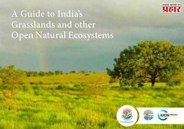 India Grasslands Guide 2026 : भारताने सादर केली UNCCD COP17 मध्ये गवताळ प्रदेश आणि खुल्या परिसंस्थांवरील पहिली सर्वसमावेशक मार्गदर्शिका