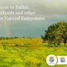 India Grasslands Guide 2026 : भारताने सादर केली UNCCD COP17 मध्ये गवताळ प्रदेश आणि खुल्या परिसंस्थांवरील पहिली सर्वसमावेशक मार्गदर्शिका