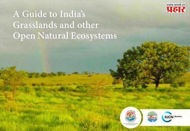 India Grasslands Guide 2026 : भारताने सादर केली UNCCD COP17 मध्ये गवताळ प्रदेश आणि खुल्या परिसंस्थांवरील पहिली सर्वसमावेशक मार्गदर्शिका