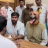 Khandwa viral news : 