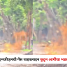 Nashik News : एमएनजीएलची गॅस पाइपलाइन फुटून आगीचा भडका; परिसरात भीतीचे वातावरण