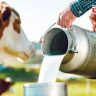 Milk Price Hike : सर्वसामान्यांना महागाईचा नवा झटका; गाई-म्हशीचे दूध महागले! ११ ऑगस्टपासून नवे दर लागू