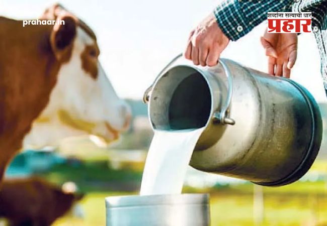 Milk Price Hike : सर्वसामान्यांना महागाईचा नवा झटका; गाई-म्हशीचे दूध महागले! ११ ऑगस्टपासून नवे दर लागू