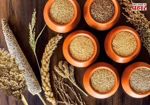 Millets Benefits : नाचणी,ज्वारी, बाजारी यांच्यात फरक काय? आरोग्यासाठी कोणते धान्य फायदेशीर?