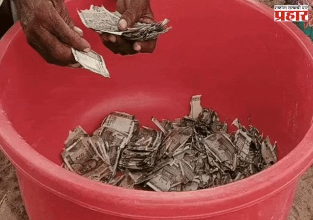 Rajastan Viral News : पत्नी पैसे खर्च करेल म्हणून शेतात पुरले लाखो रुपये; कालांतराने घडलं असं काही...