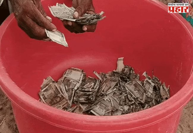 Rajastan Viral News : पत्नी पैसे खर्च करेल म्हणून शेतात पुरले लाखो रुपये; कालांतराने घडलं असं काही…