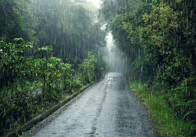Weather Update : महाराष्ट्रातील विविध भागांत मुसळधार ते अतिमुसळधार पावसाची शक्यता, हवामान खात्याचा अंदाज