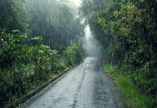 Maharashtra Weather : महाराष्ट्रात पुन्हा पावसाचा जोर वाढणार; घाटमाथ्यासह विदर्भात जोरदार सरींचा अंदाज