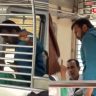 Mumbai Local Train : मुंबई लोकलमध्ये वडाळाजवळ पुरुषाकडून महिलेला बेदम मारहाण; बेल्ट काढून धमकी, सहप्रवाशी ठरले मूकदर्शक!