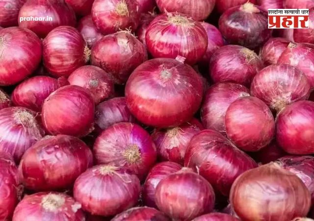 Mumbai Onion Price Hike : मुंबईत कांद्याचा भडका! कांद्याच्या दरवाढीमुळे गृहिणींचे गणित बिघडले; केंद्र सरकारचा मोठा निर्णय